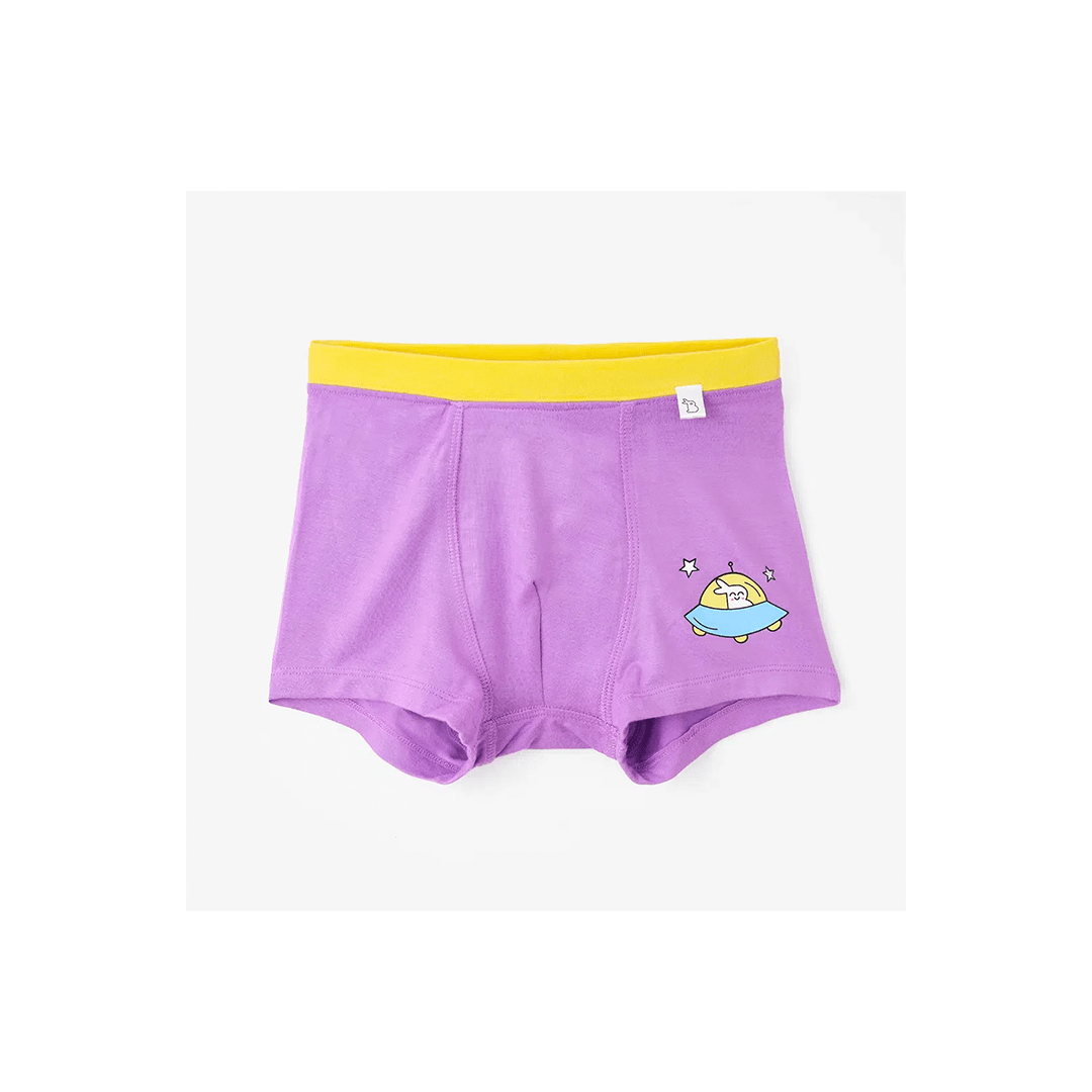 SuperBottoms Clothing SuperBottom Boys Trunks - Set of 4 (4-8 Years)
