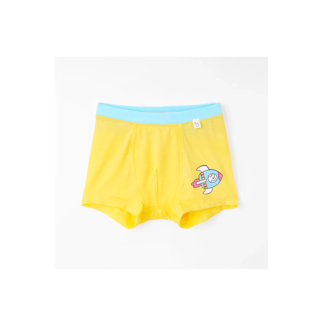 SuperBottoms Clothing SuperBottom Boys Trunks - Set of 4 (4-8 Years)