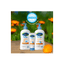 Cetaphil Baby Care Cetaphil Baby Advance Protection Cream Gentle & Soft with Organic Calendula 85gm