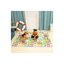 Baan Toys Play Mat Baan Toys Double Side Playmat for Babies Crawling Mat for Kids Picnic Baby Mat/Playmat for Kids (Large Size Random Print) (0 Month+)