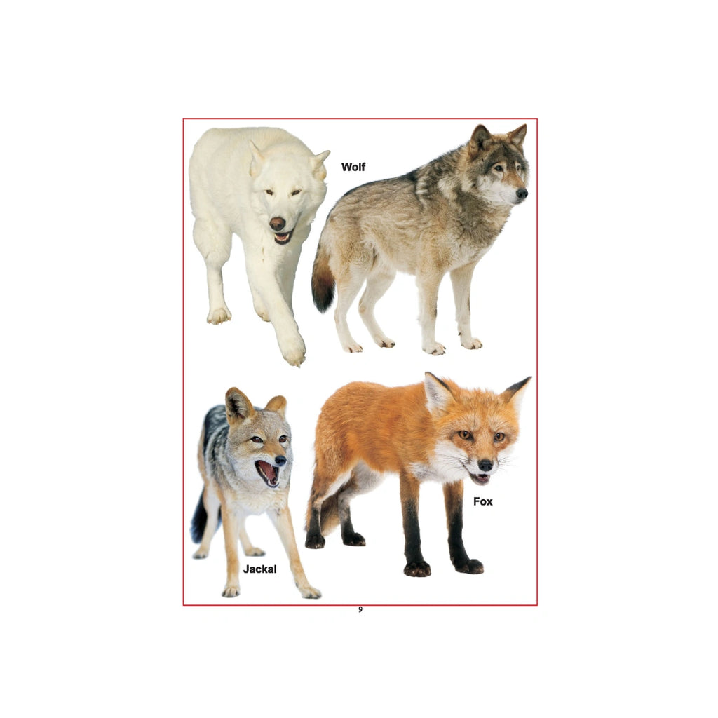 First Step Learning Books