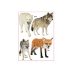 First Step Learning Books