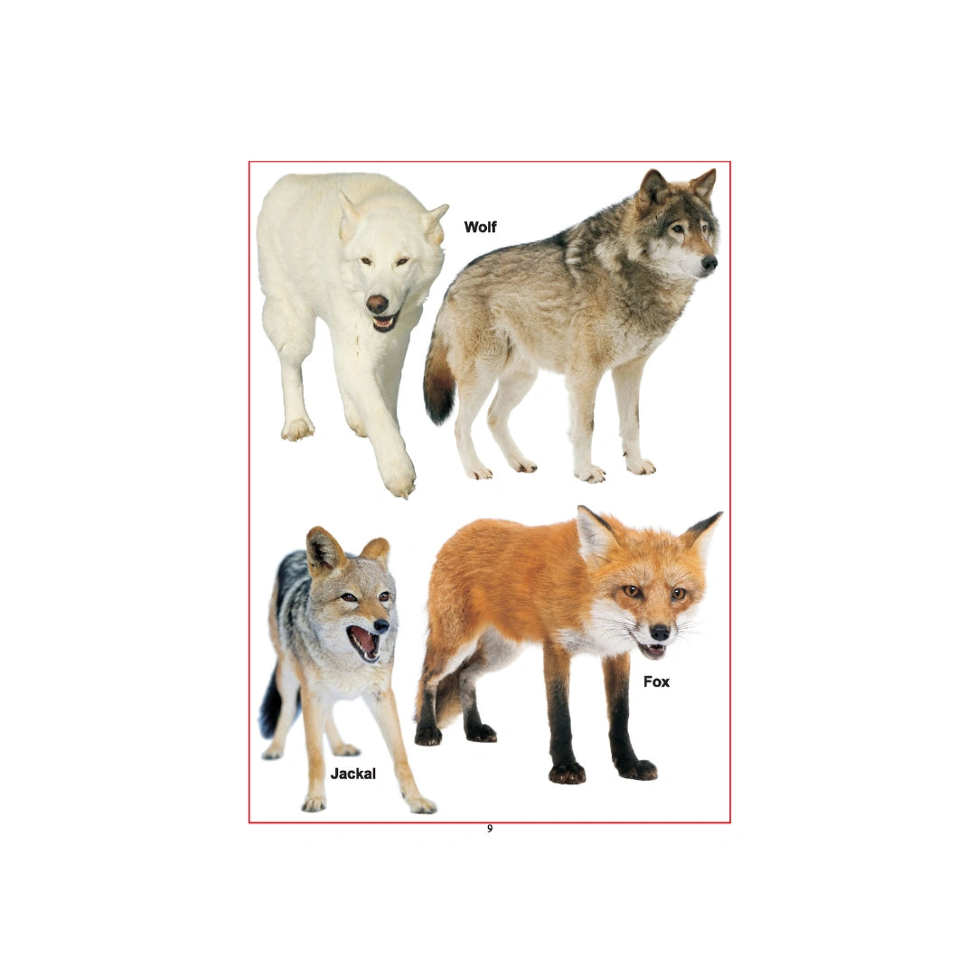 First Step Learning Books