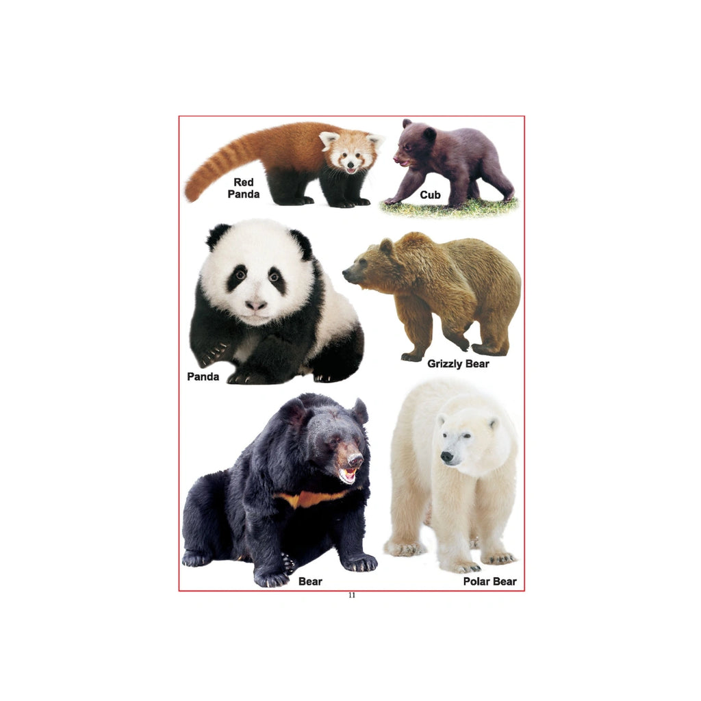 First Step Learning Books
