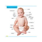 My First Words  Picture Dictionary f