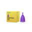 Femisafe Personal Care L FemiSafe Menstrual Cup (Pack of 1)