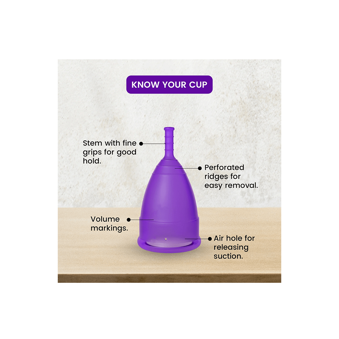 Femisafe Personal Care FemiSafe Menstrual Cup (Pack of 1)