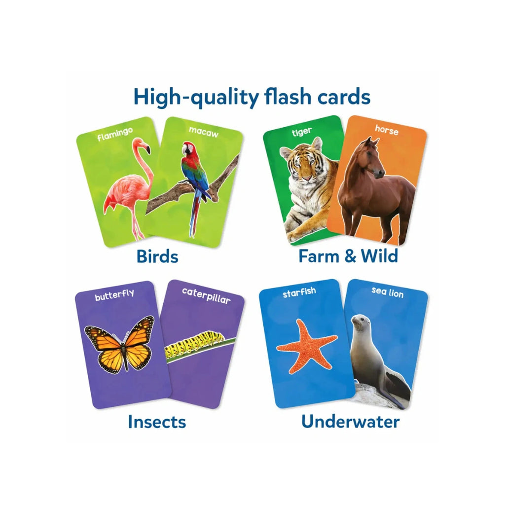 Animal learning flash cards