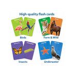Animal learning flash cards