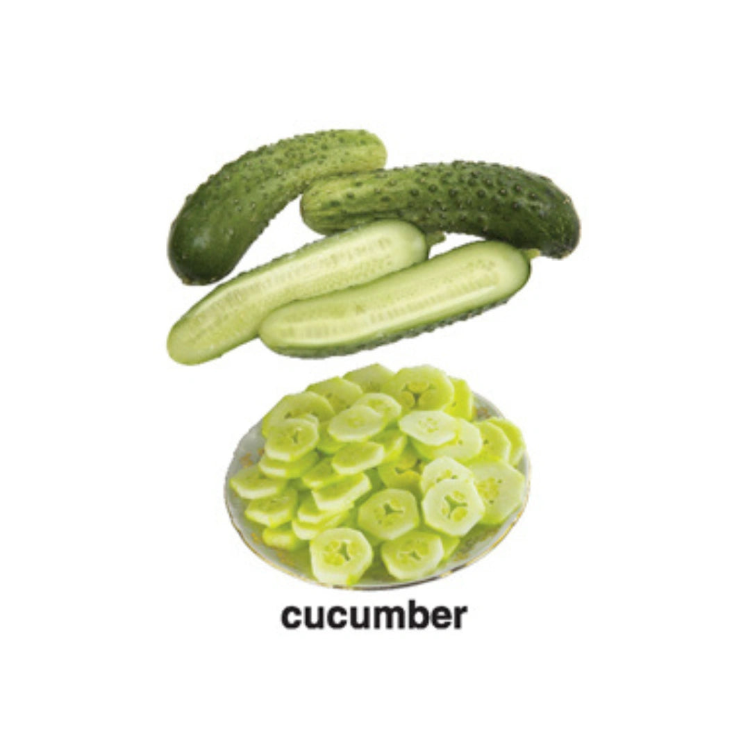 Little Learners Fruits Book