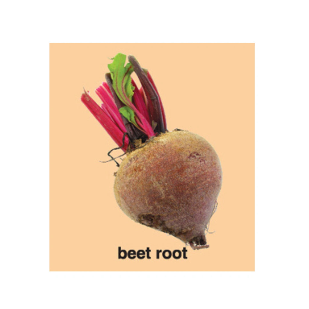 Little Learners Fruits Book