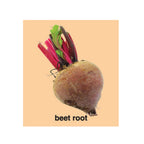 Little Learners Fruits Book