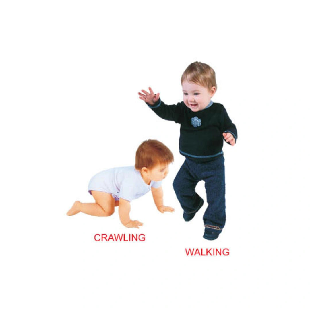 Interactive Action Words Book