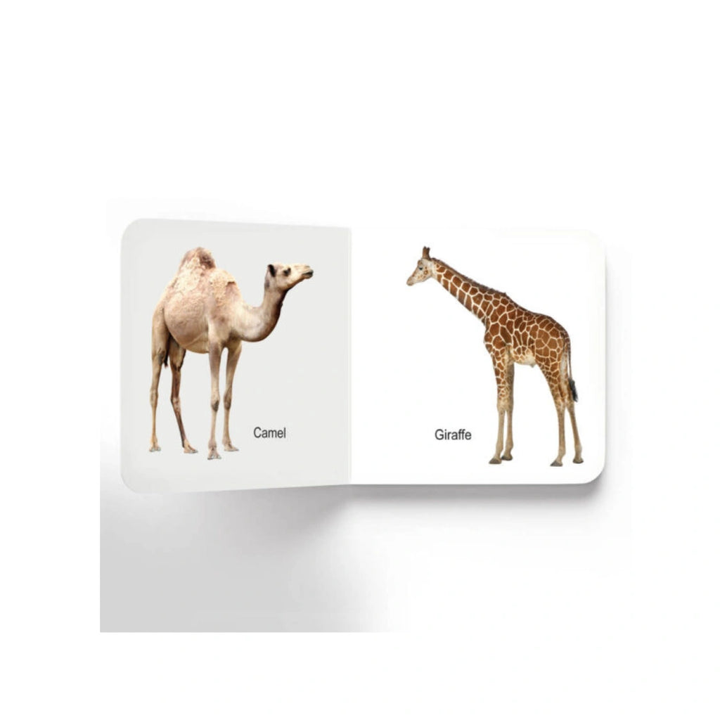 Early Learning Animals Board Book