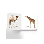 Early Learning Animals Board Book