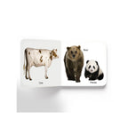 Early Learning Animals Board Book