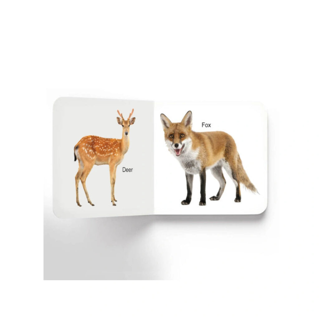 Early Learning Animals Board Book