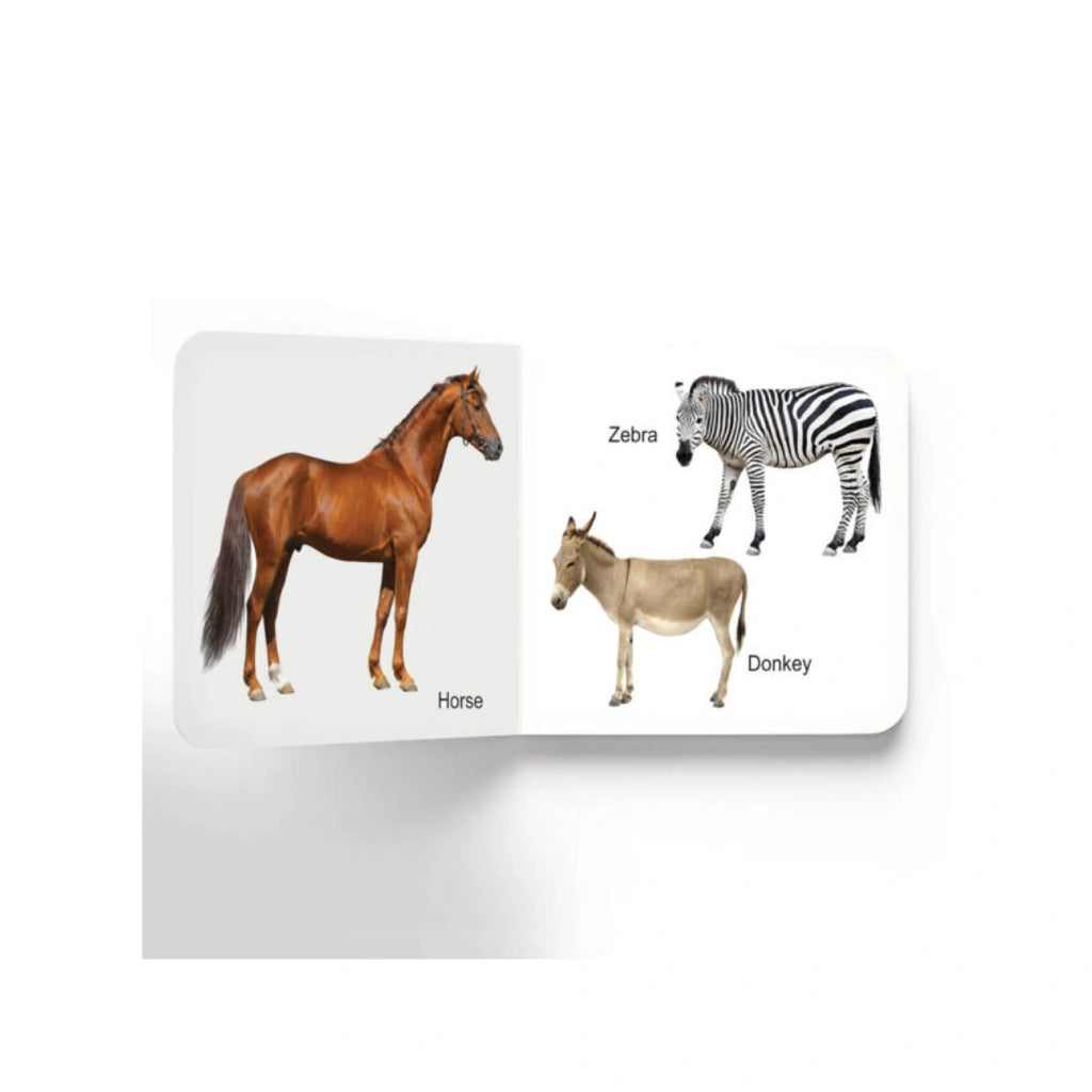 Early Learning Animals Board Book