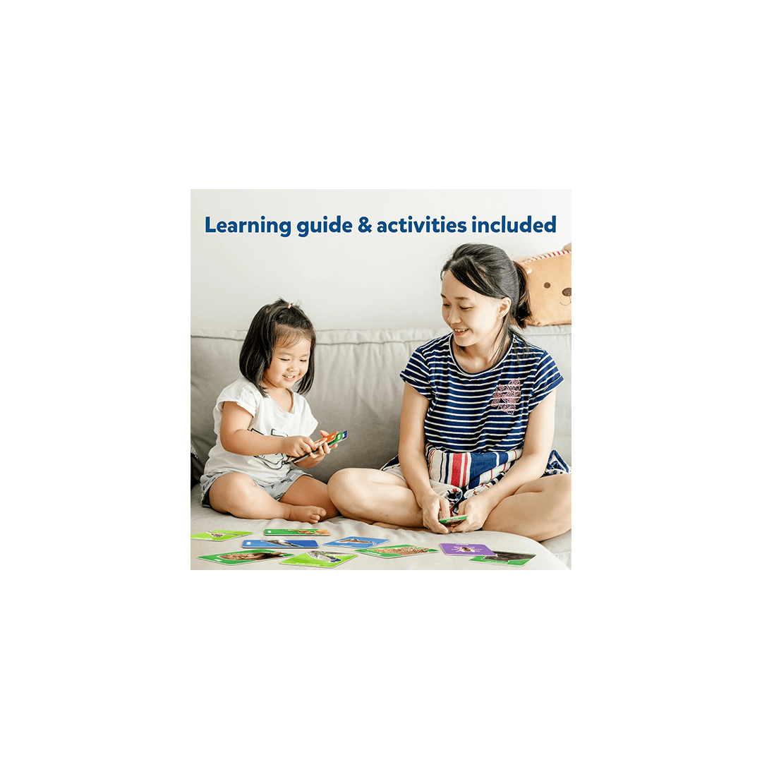 Skillmatics Toys Skillmatics Flash Cards for toddlers: First 100 Animals (ages 1-4)