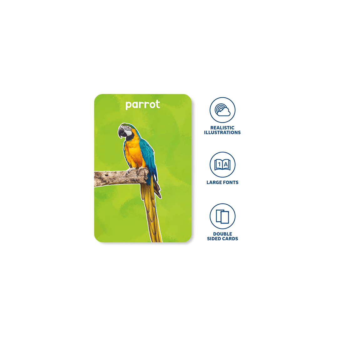 Skillmatics Toys Skillmatics Flash Cards for toddlers: First 100 Animals (ages 1-4)