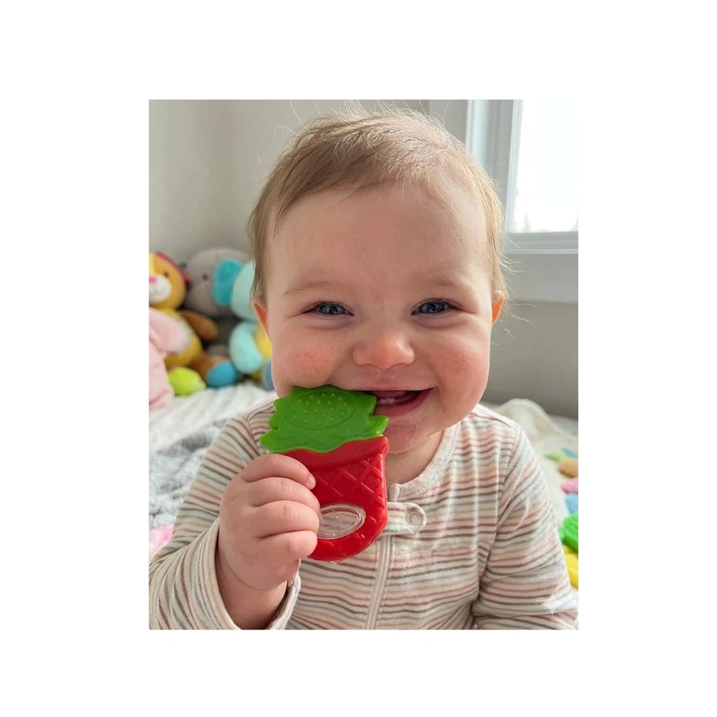 Floral Teether Toy,Plant in Pot Shape BPA-Free Baby Teething Toy