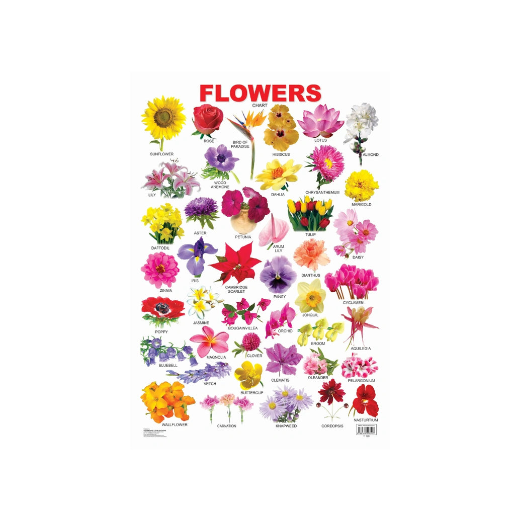 Flowers learning chart for kids.