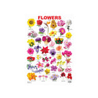 Flowers learning chart for kids.