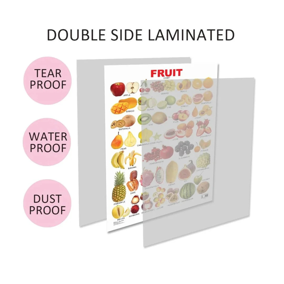 Fruits learning chart for kids