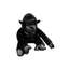 Gorilla Soft Toy for Kids and Young Girls, Soft (3 years+)