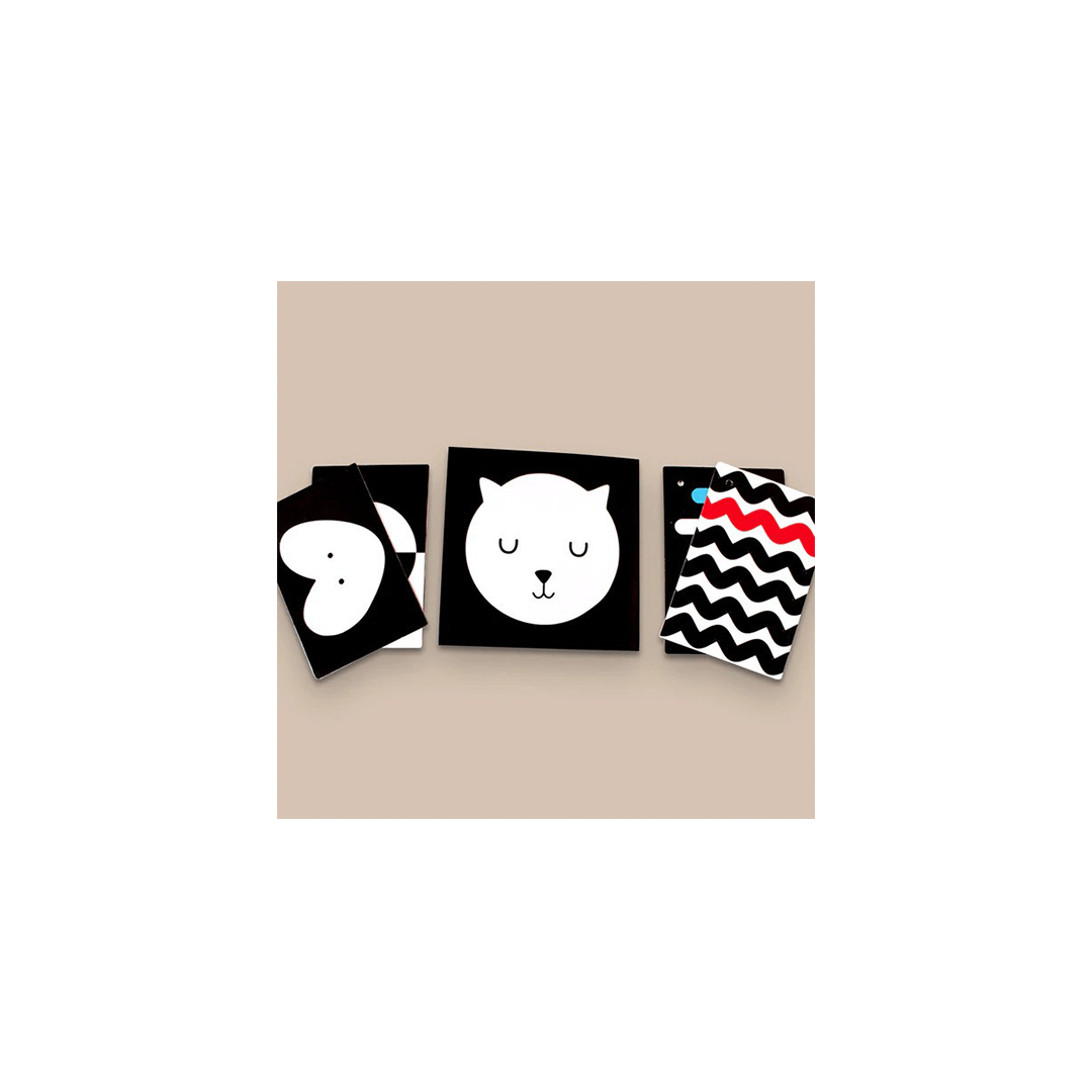 Shumee Toys Shumee High Contrast Black & White Flash Cards for Babies (0 Months+)