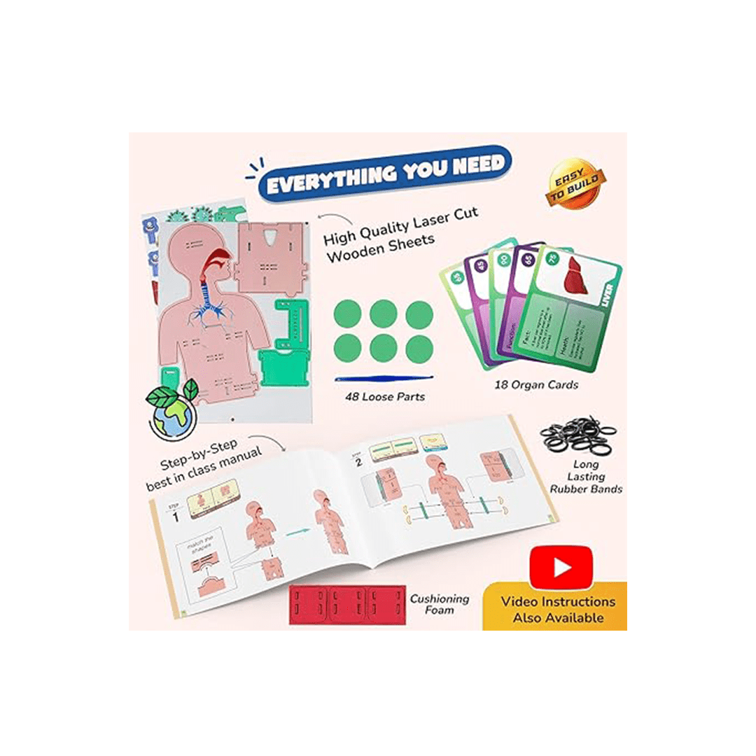 Smartivity Brain Boosting Smartivity Human Body | DIY STEM Construction Toy ( 6 Year+ )