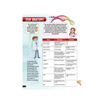 Human body encyclopedia for children