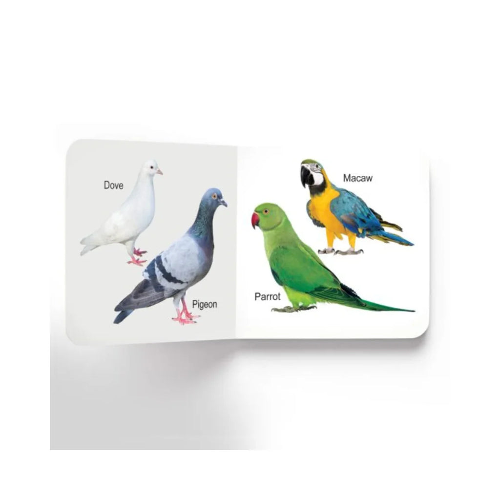 Set of 10 early learning board books 