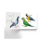 Set of 10 early learning board books 