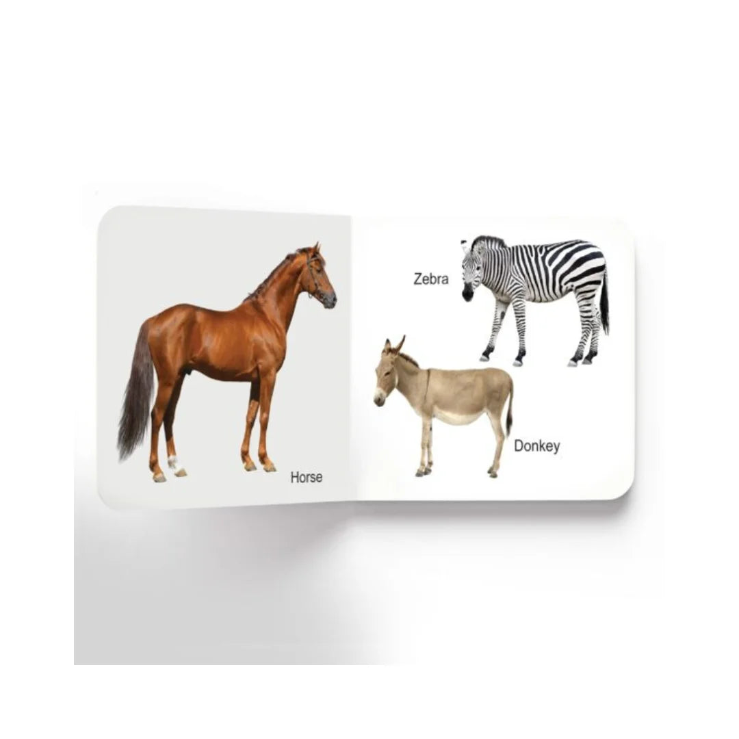Set of 10 early learning board books 