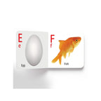 Colorful ABC Educational Board Book
