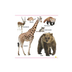 Baby’s First Animals & Birds Board Book