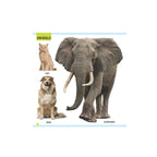 Baby’s First Animals & Birds Board Book