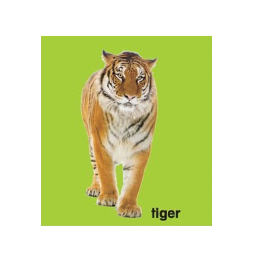 Early Learning Animals Book
