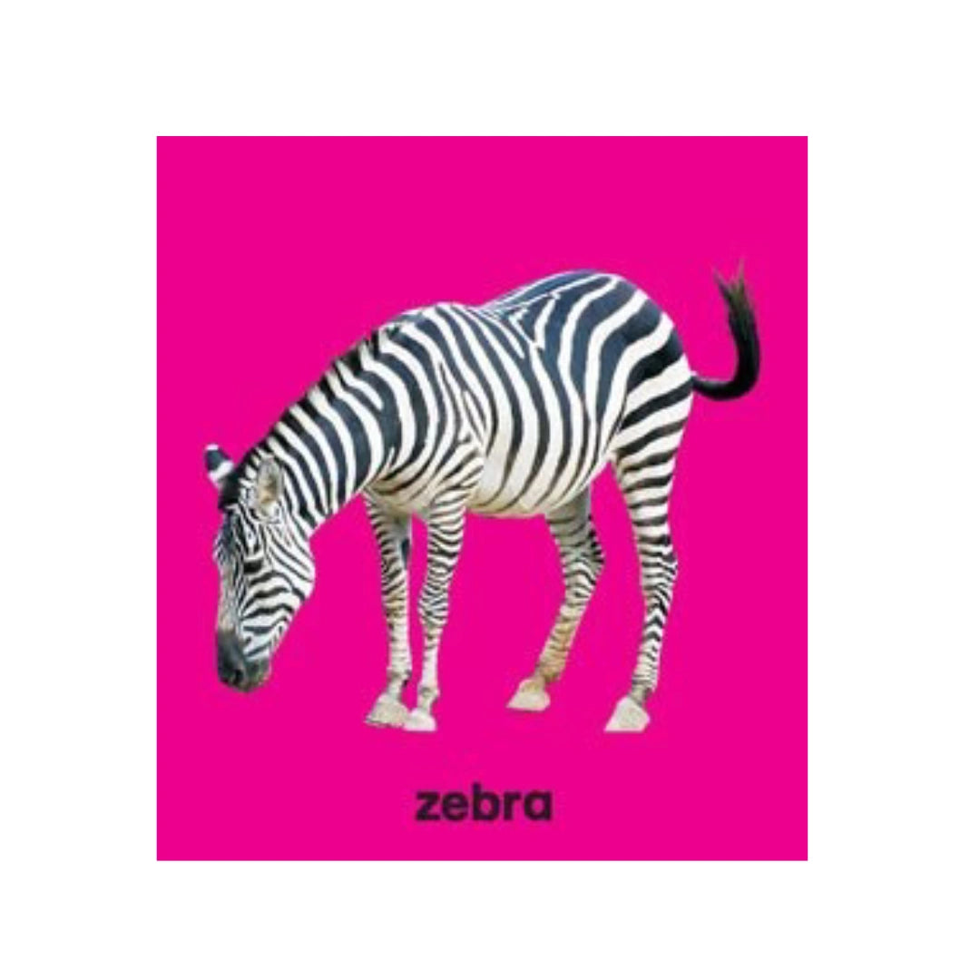 Early Learning Animals Book