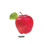 Padded Fruits Picture Book