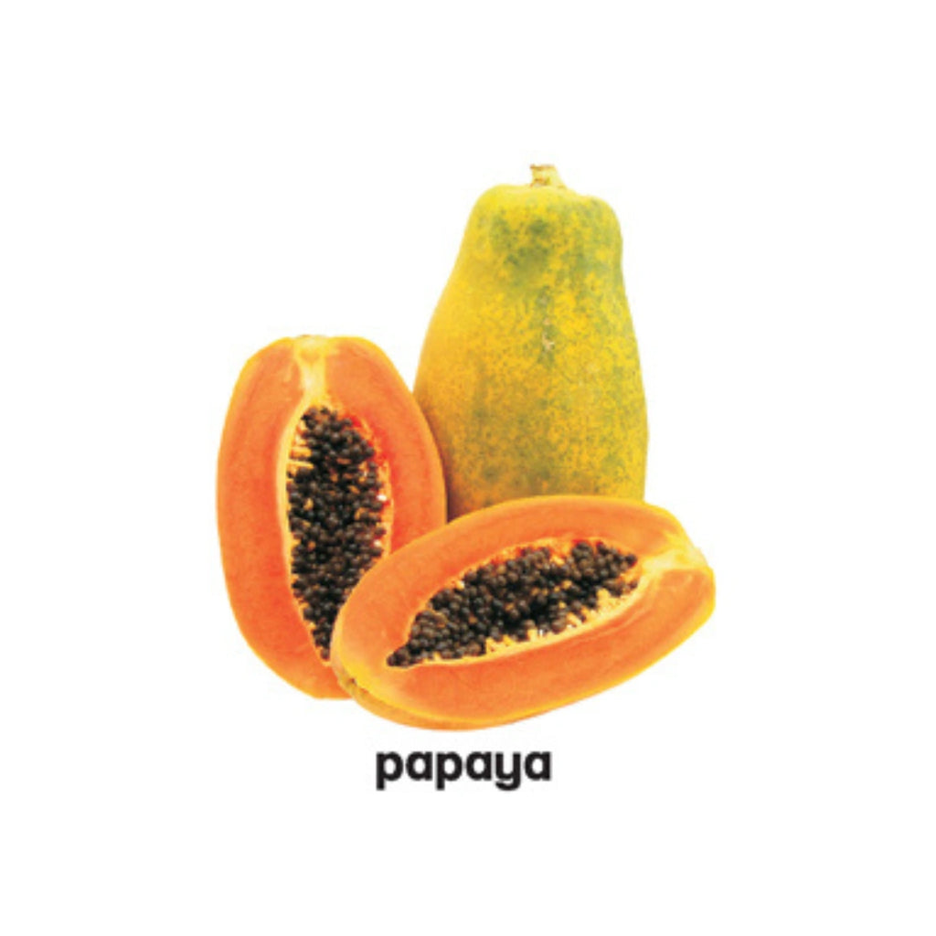 Padded Fruits Picture Book