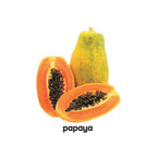 Padded Fruits Picture Book