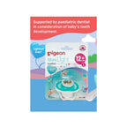 Pigeon Mini light Raccoon soother for babies