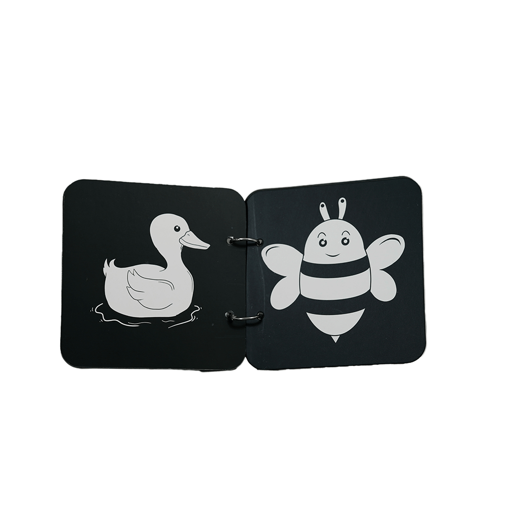 B4brain Books B4brain Newborn Baby Book ( 0-4 months)