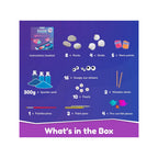 Rock and  shell,Magical Underwater Kingdom Painting Craft Gift for Boys & Girls