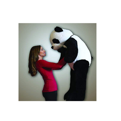 Sana Panda Teddy Bear Soft Toy