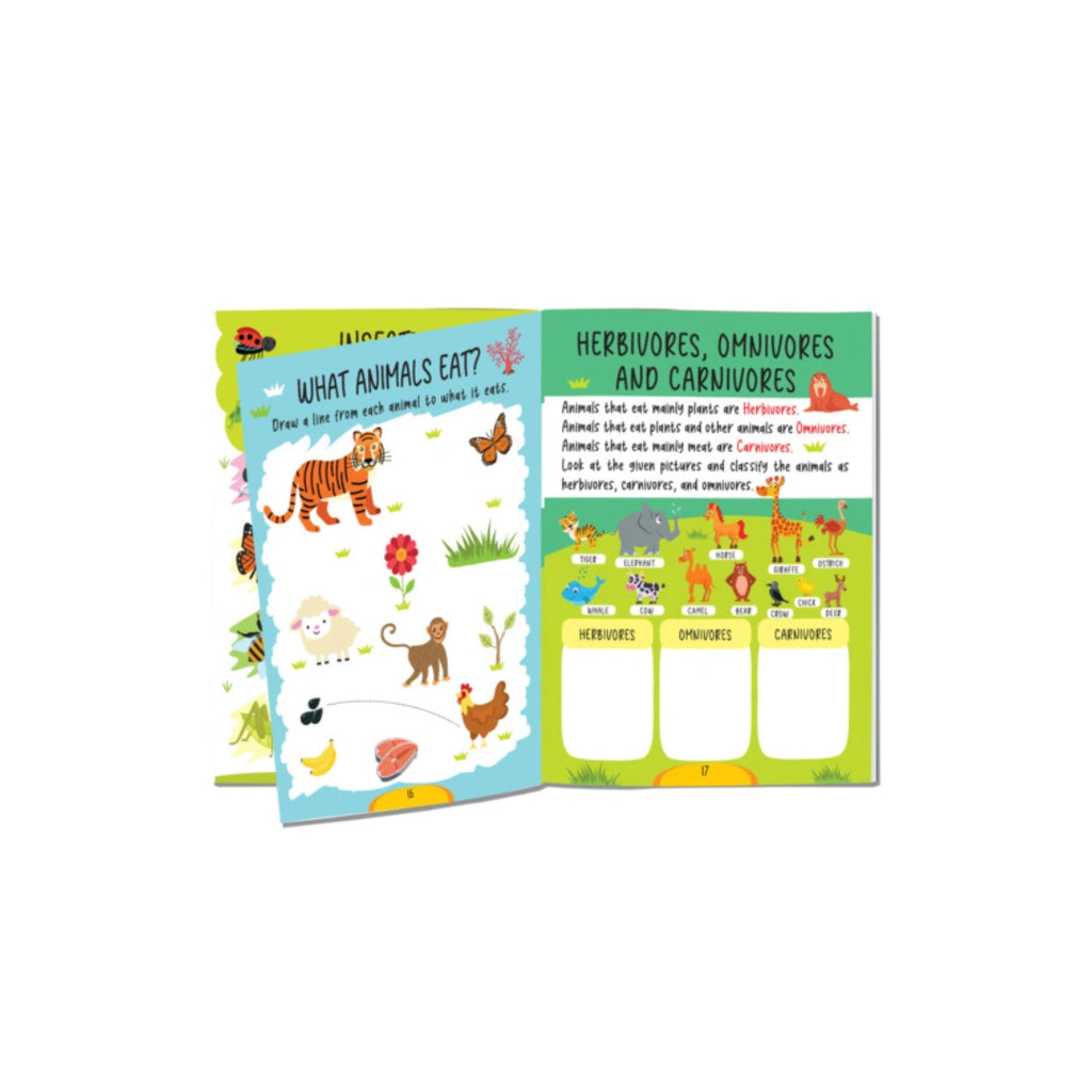 Science experiments activity book