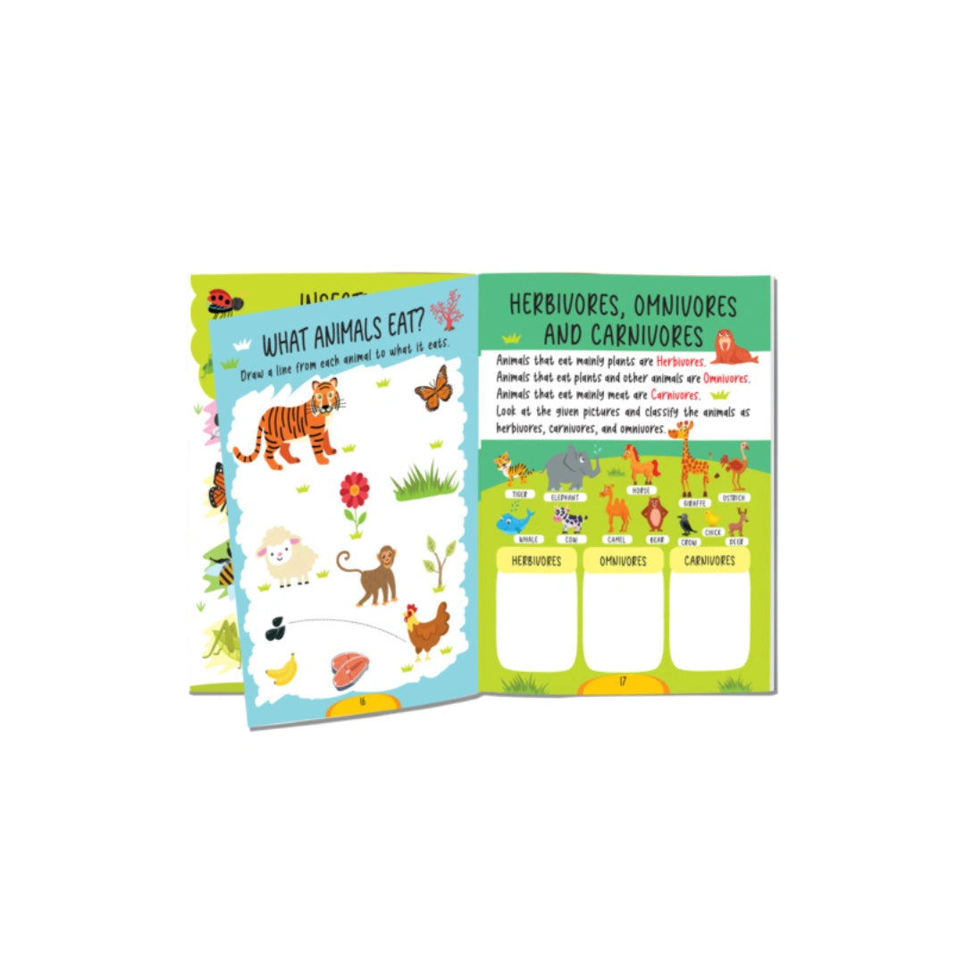 Science experiments activity book
