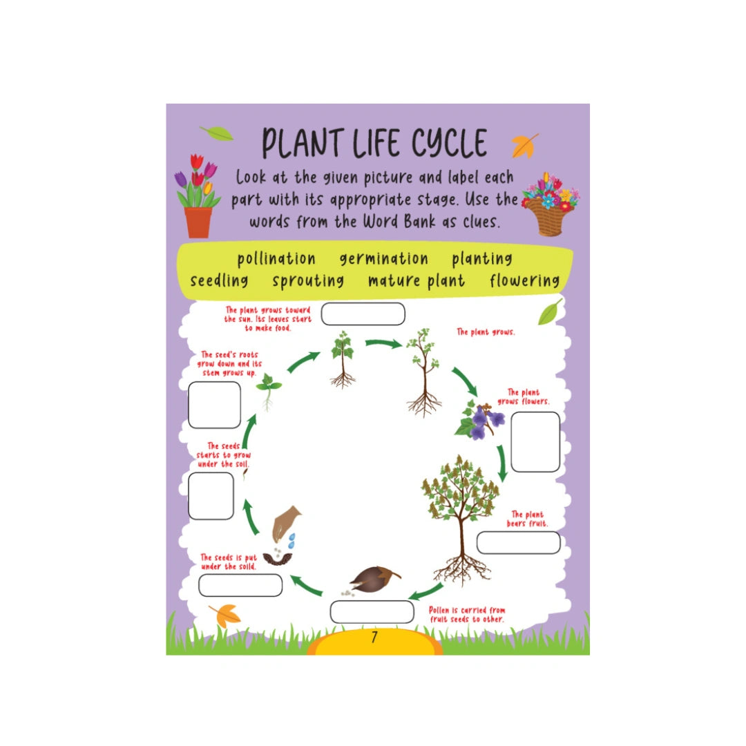 Advanced science workbook for kids